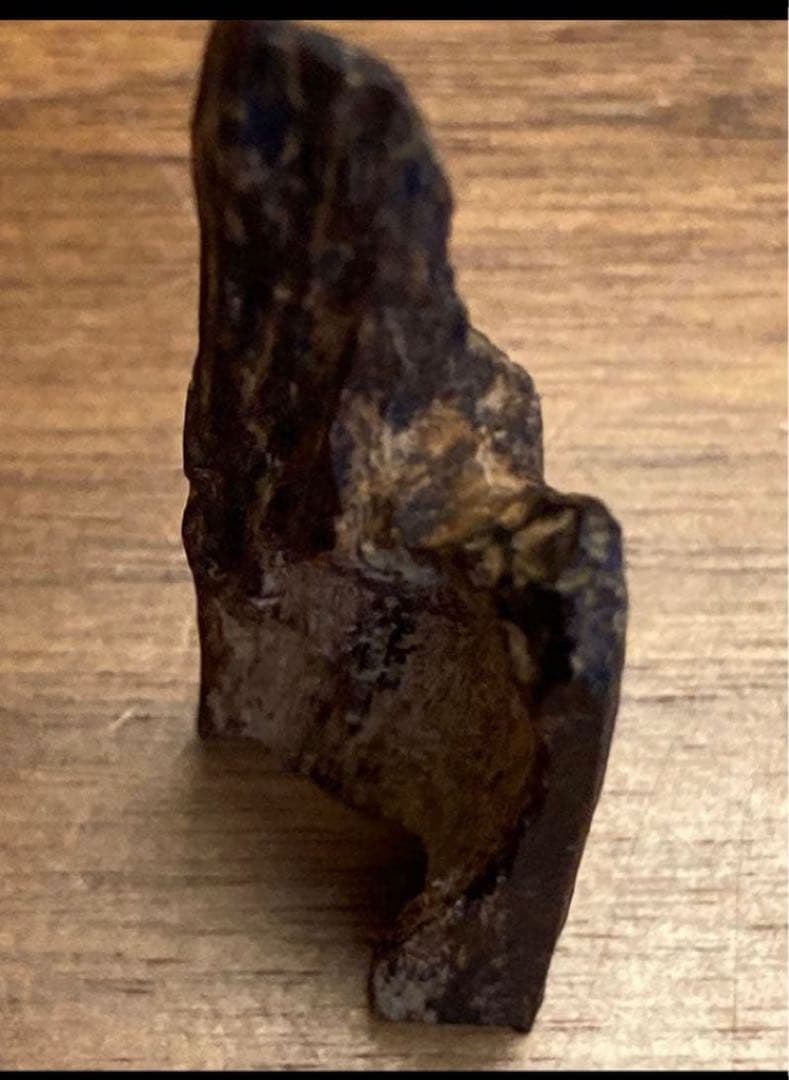 沈水　沈香　香木　タニ　極上　 3.3g