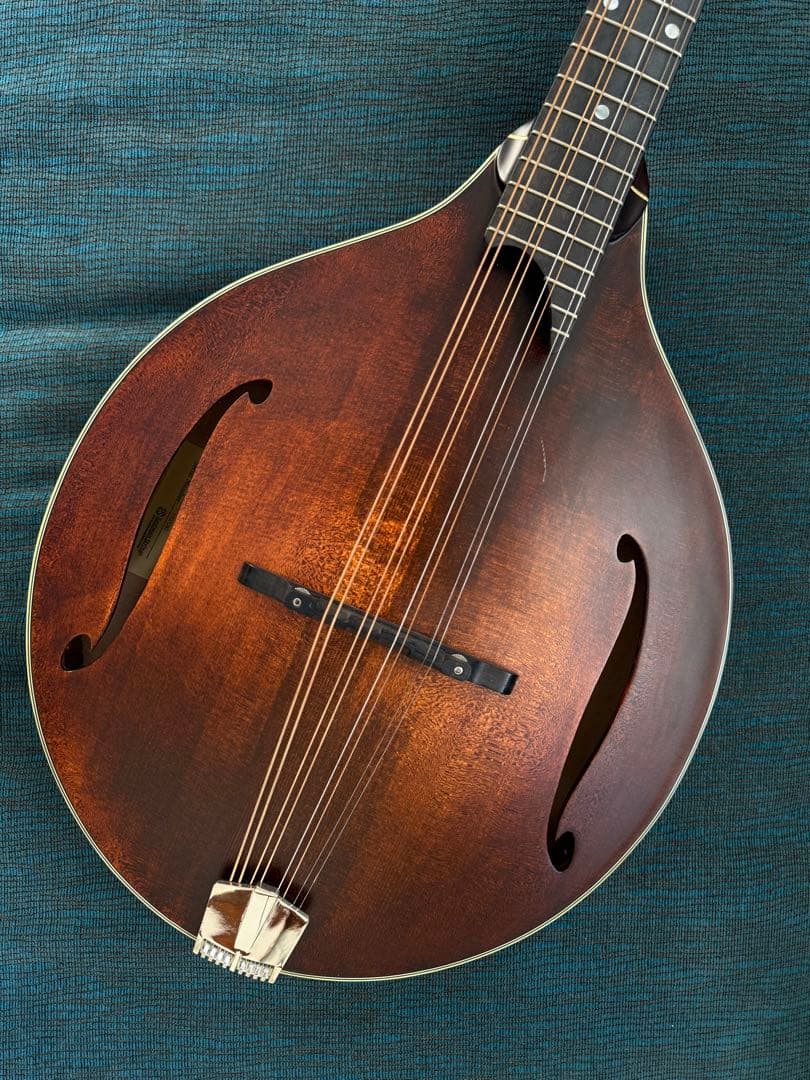 【最終価格】Eastman MDO-305 オクターブマンドリン