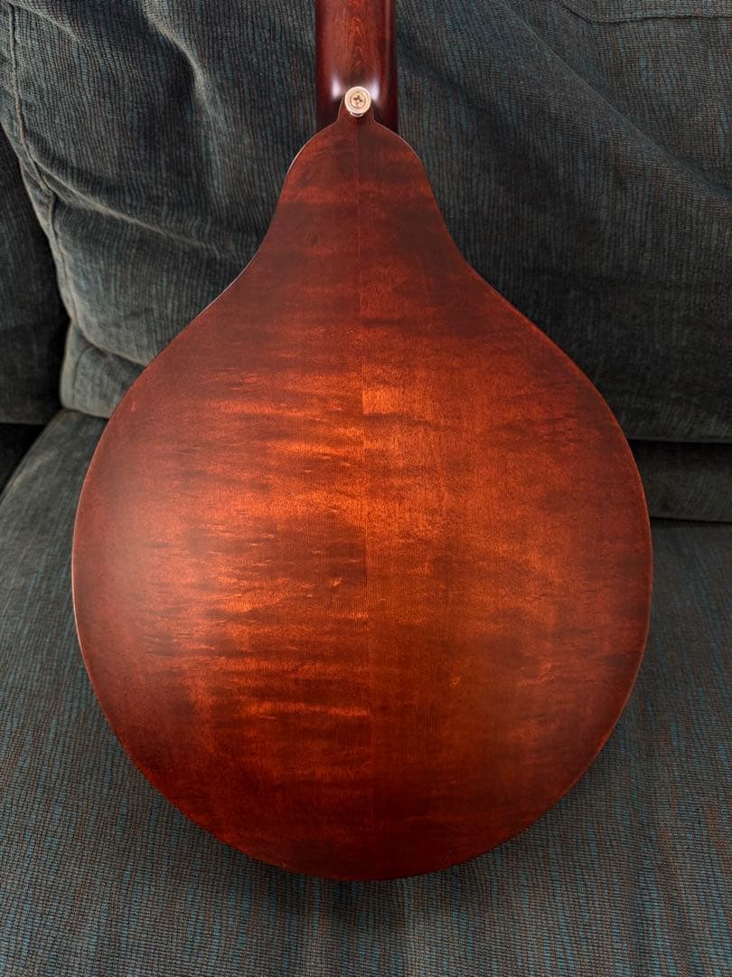 【最終価格】Eastman MDO-305 オクターブマンドリン