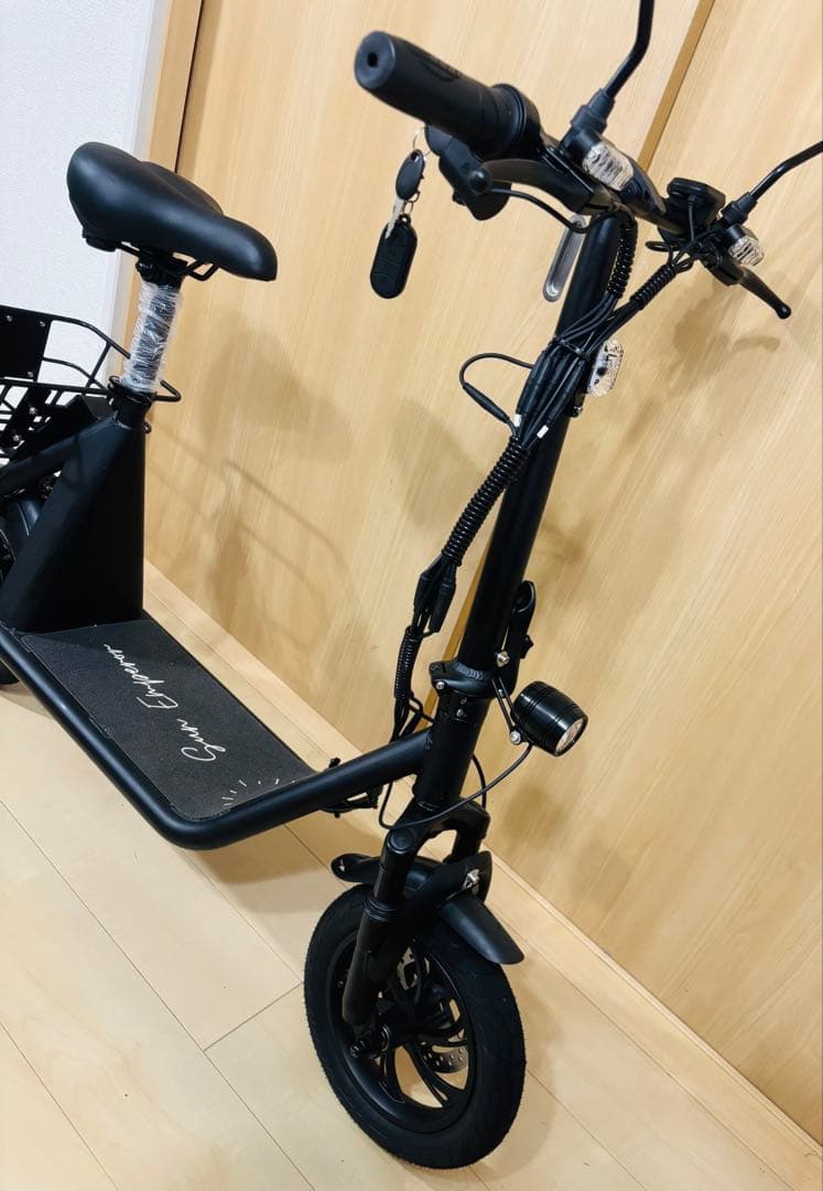 たぬき　12/15迄　関西　Sun Emperor サンエンペラー SS1