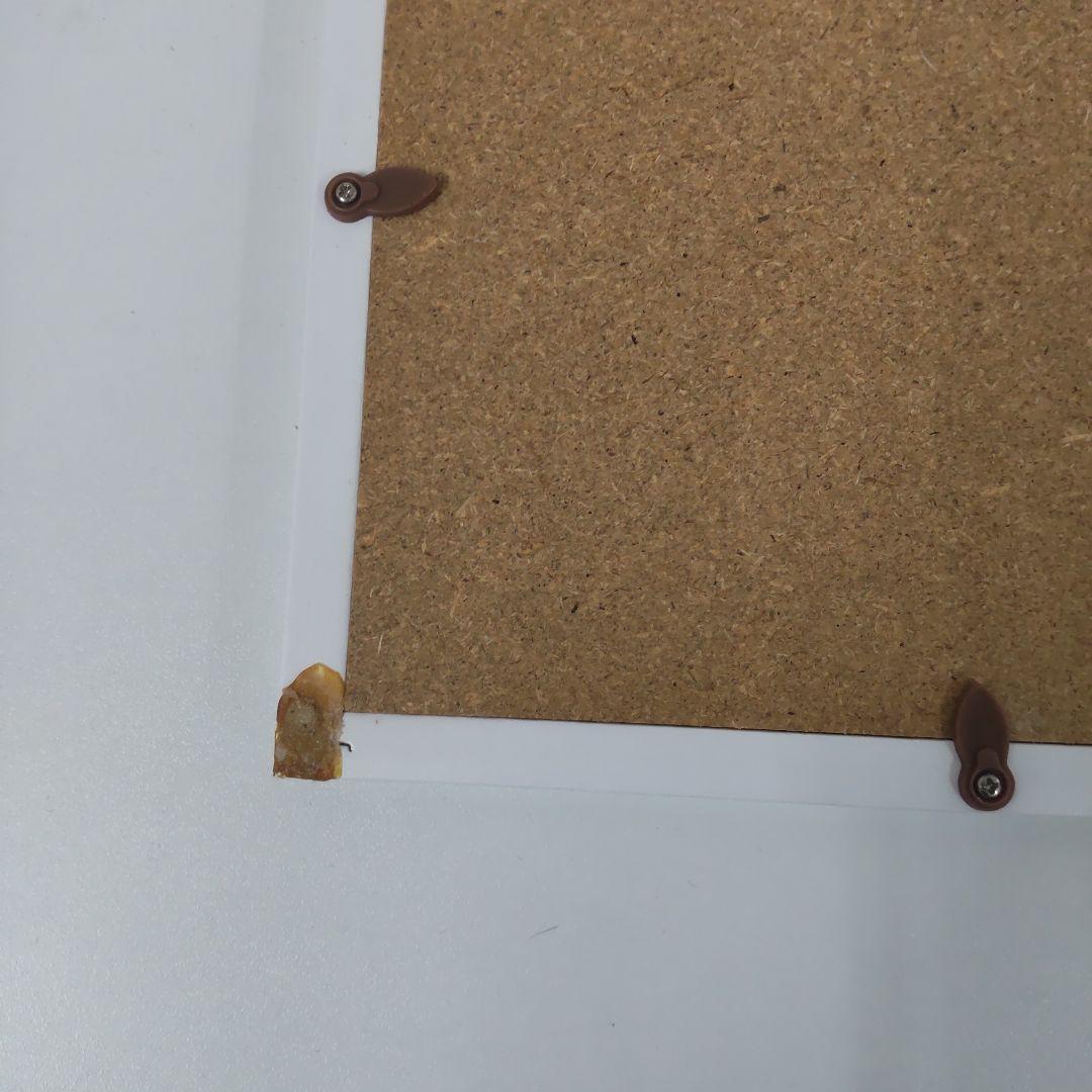 渡辺宏 大きな白クマの友達 シリアルあり