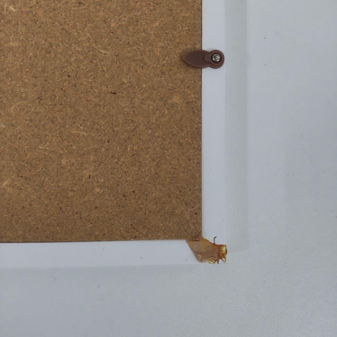 渡辺宏 大きな白クマの友達 シリアルあり