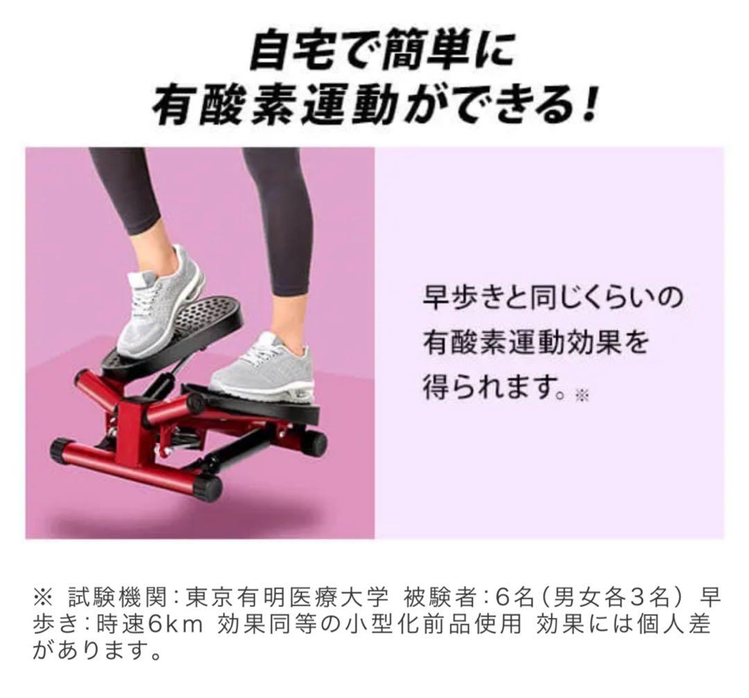 ナイスデイ　健康ステッパー　美品　ウォーキング　散歩　旅行