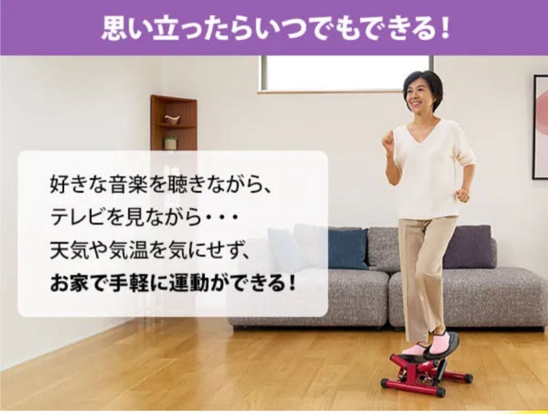 ナイスデイ　健康ステッパー　美品　ウォーキング　散歩　旅行