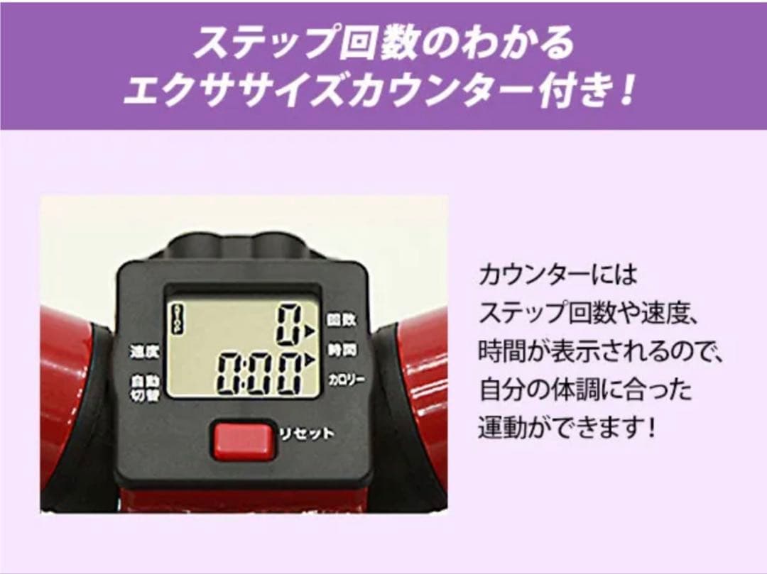 ナイスデイ　健康ステッパー　美品　ウォーキング　散歩　旅行