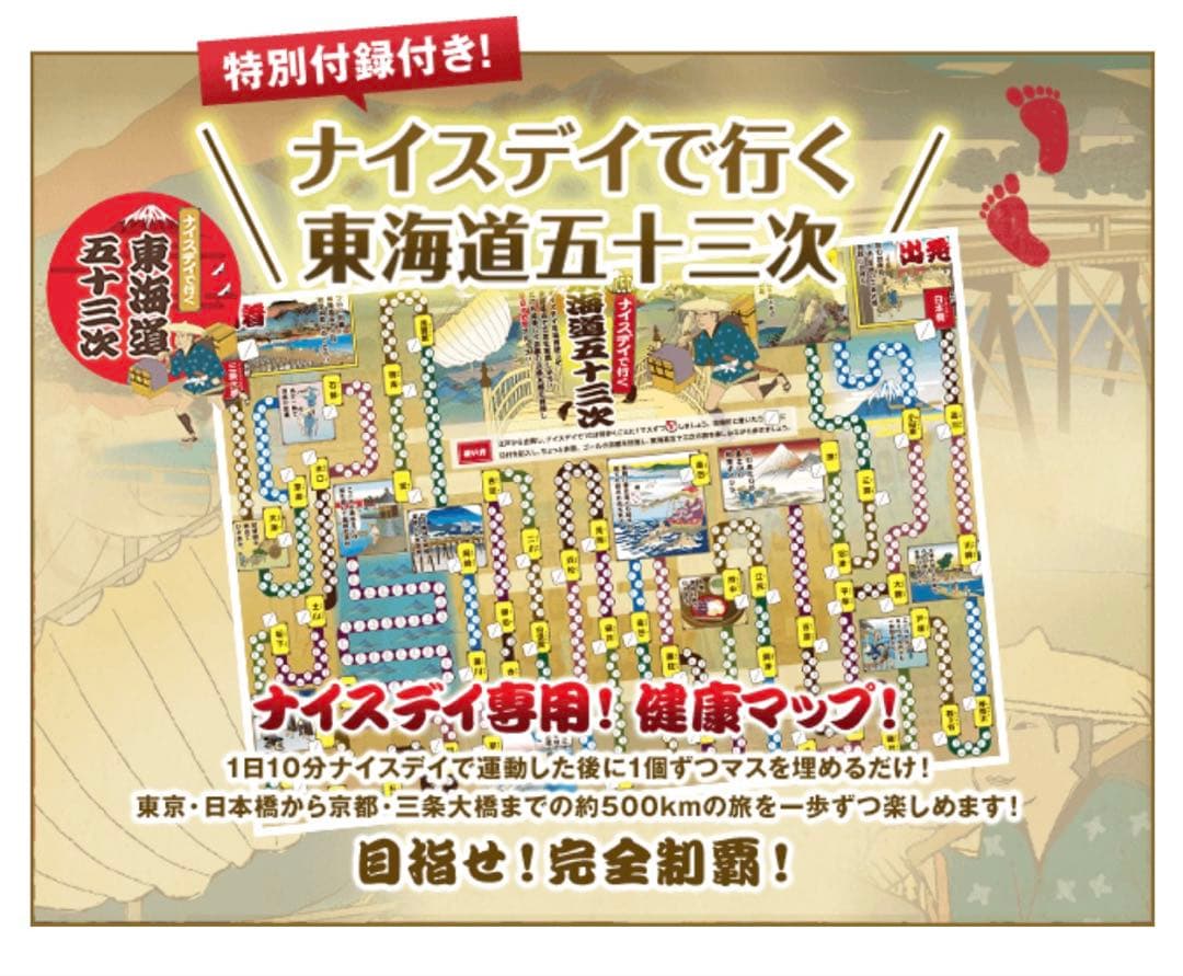 ナイスデイ　健康ステッパー　美品　ウォーキング　散歩　旅行