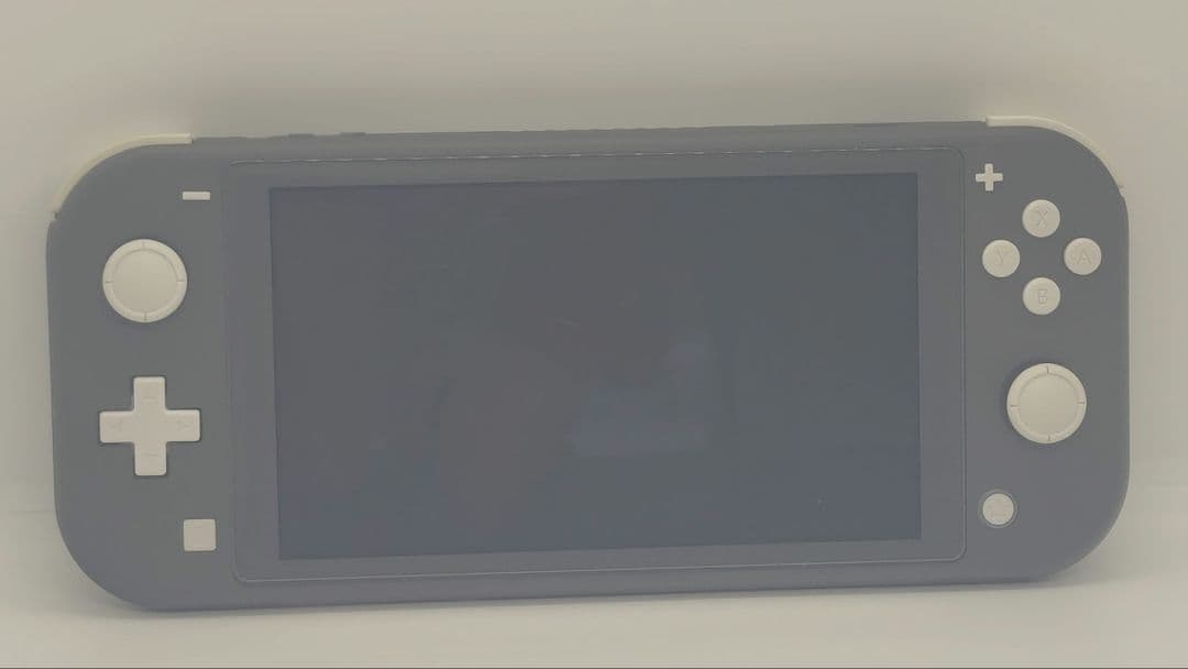 Nintendo Switch Lite グレー 本体　カバー　ケース