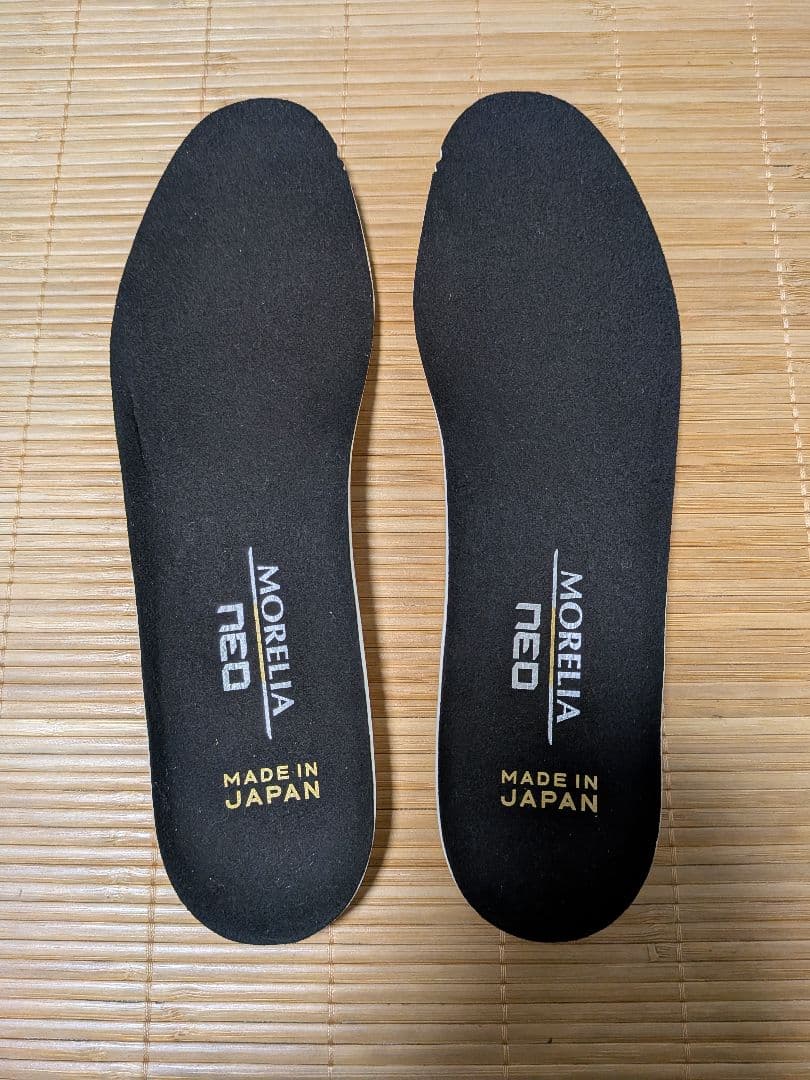 【限定品】MizunoモレリアDNA JAPAN 26.0cm 販売終了カラー