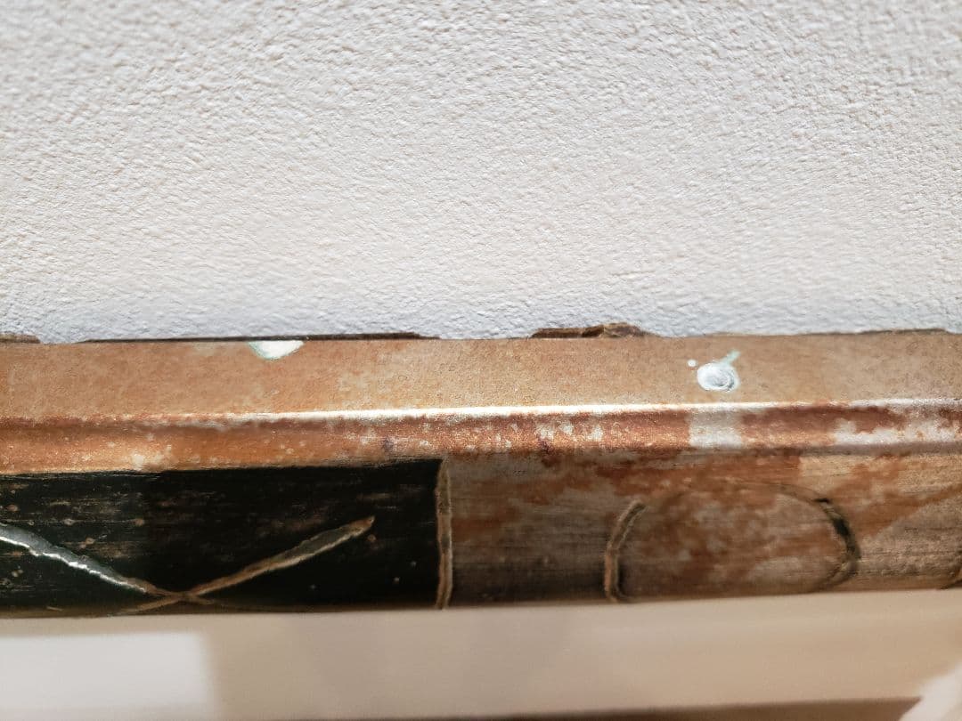 リャド　版画　カロリーナ　アミーゴ嬢