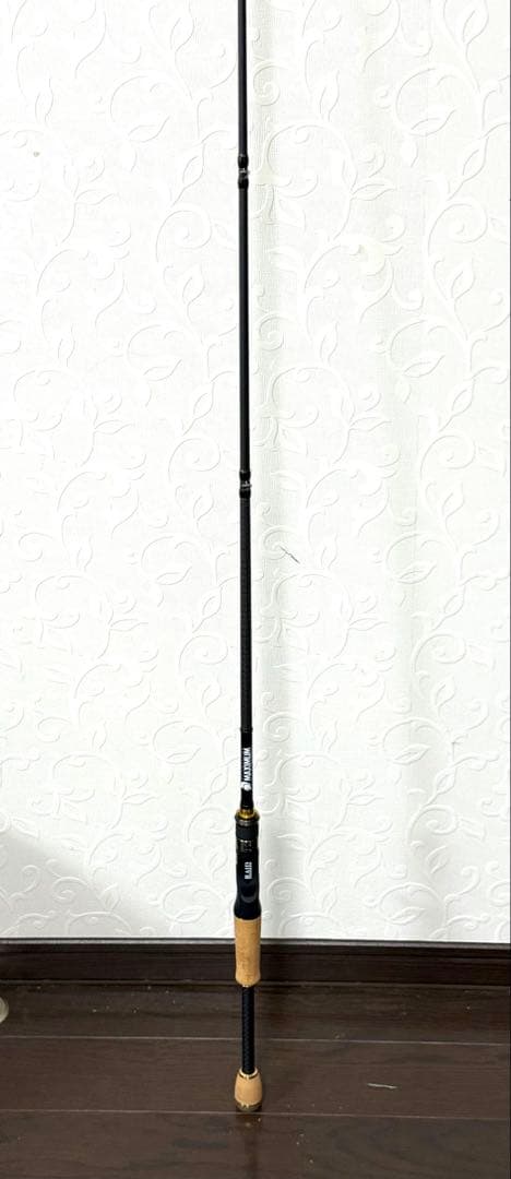 ロッド　竿　THE MAXX Lt. GX-65ML+C-ST