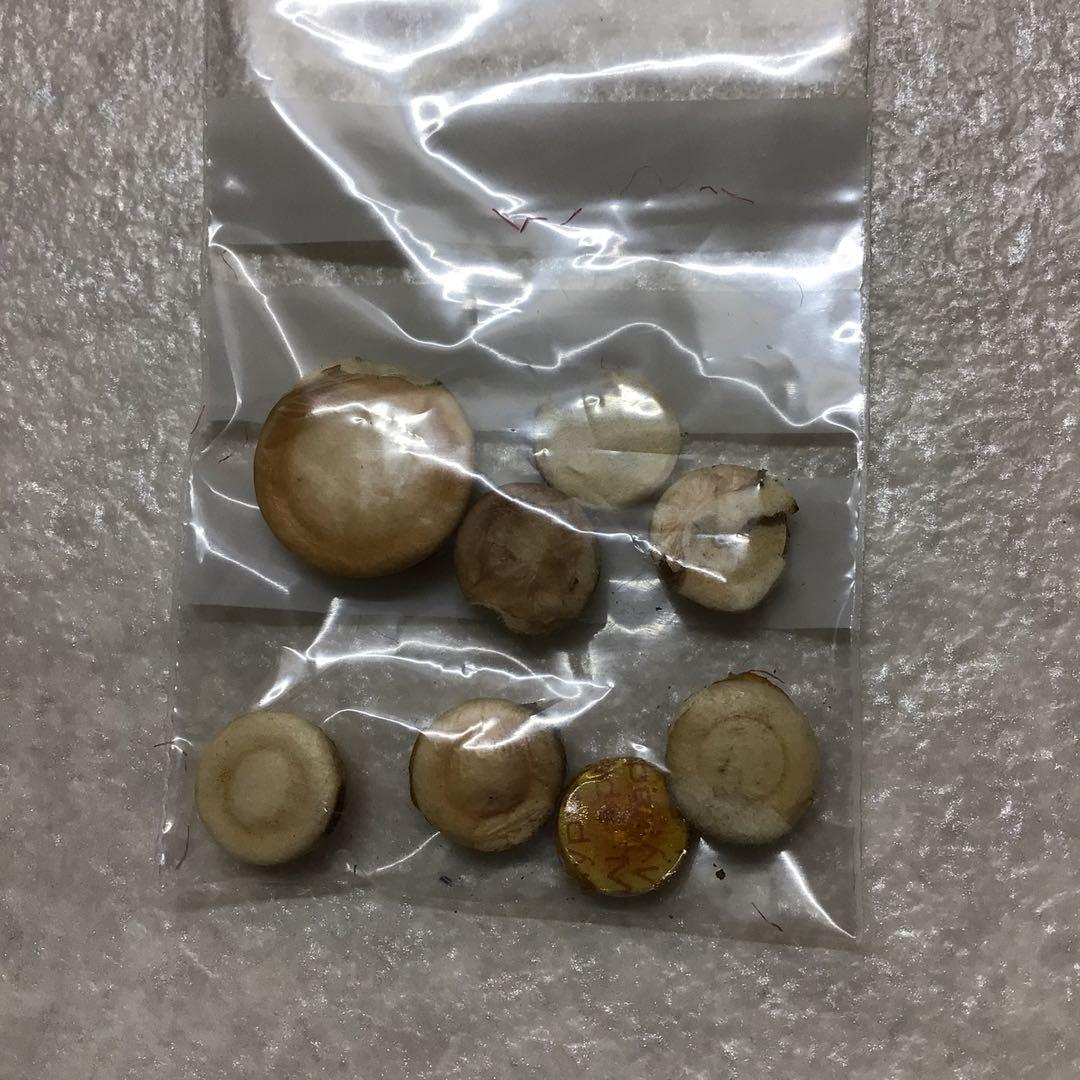 (37) YAMAHA ヤマハ　B♭クラリネット　YCL-351 程度良好