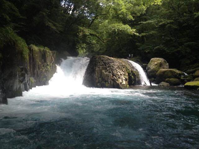 アロマグッズ active Water right 楽天市場】アピックス アロマウォーターの通販