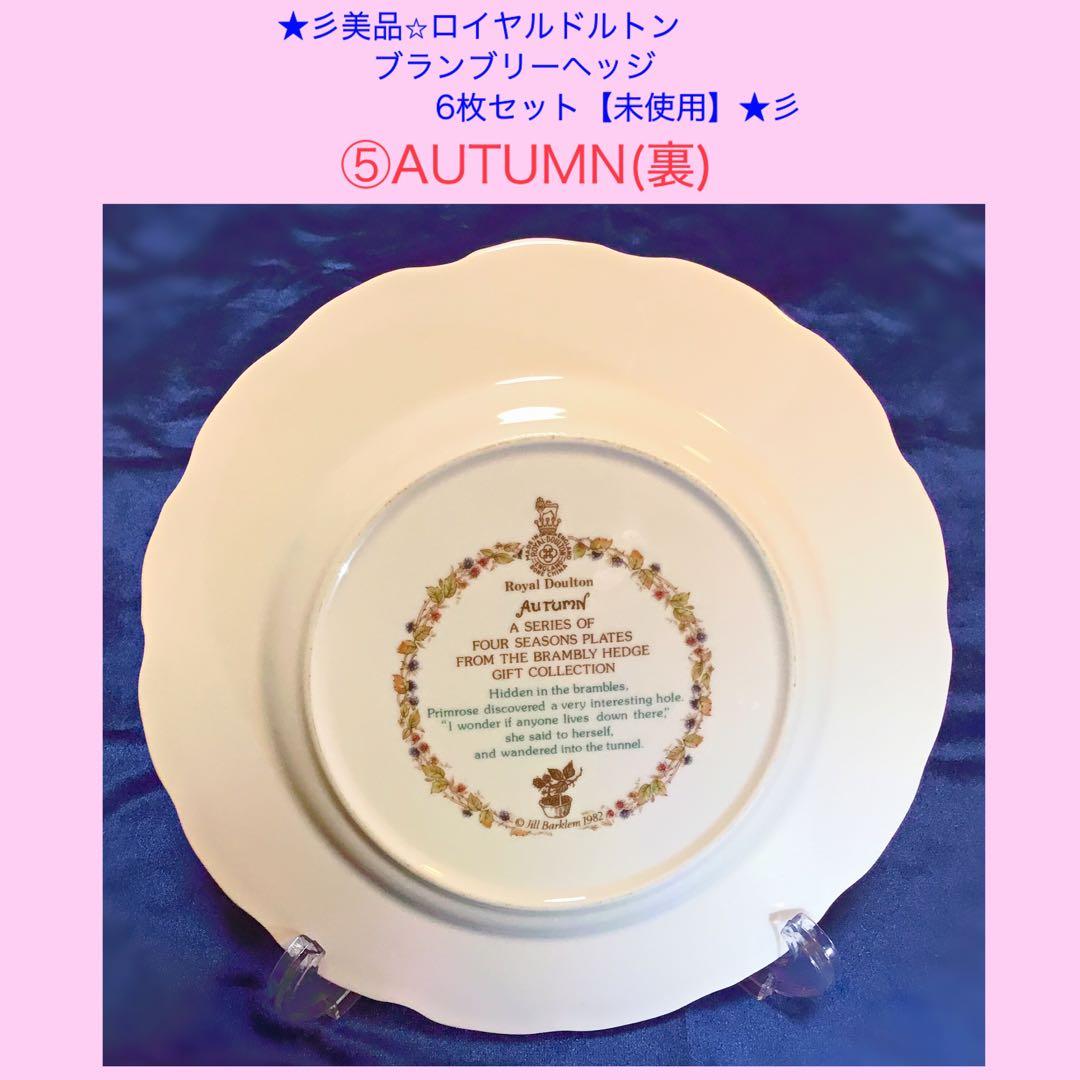 ★彡【美品/未使用】ブランブリーヘッジ 絵皿 《5枚＋1枚おまけ付き》セット★彡