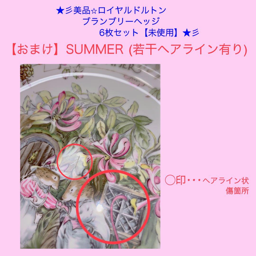 ★彡【美品/未使用】ブランブリーヘッジ 絵皿 《5枚＋1枚おまけ付き》セット★彡