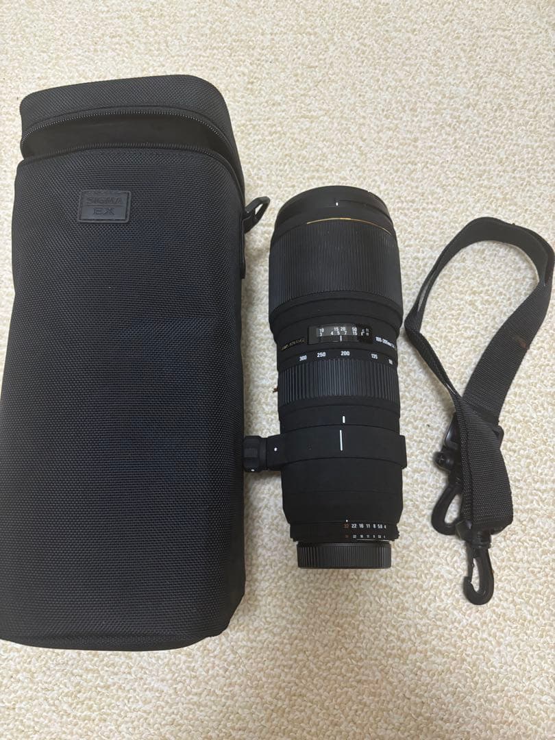 レンズ(ズーム) Nikon APO 100-300mm F4 EX DG HSM