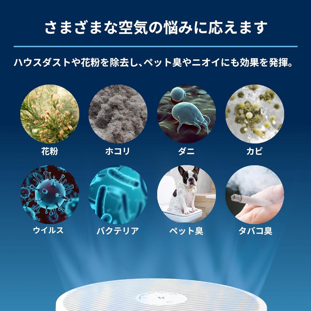 ブルーエア 空気清浄機 花粉対策 22畳 Blue Max 3250