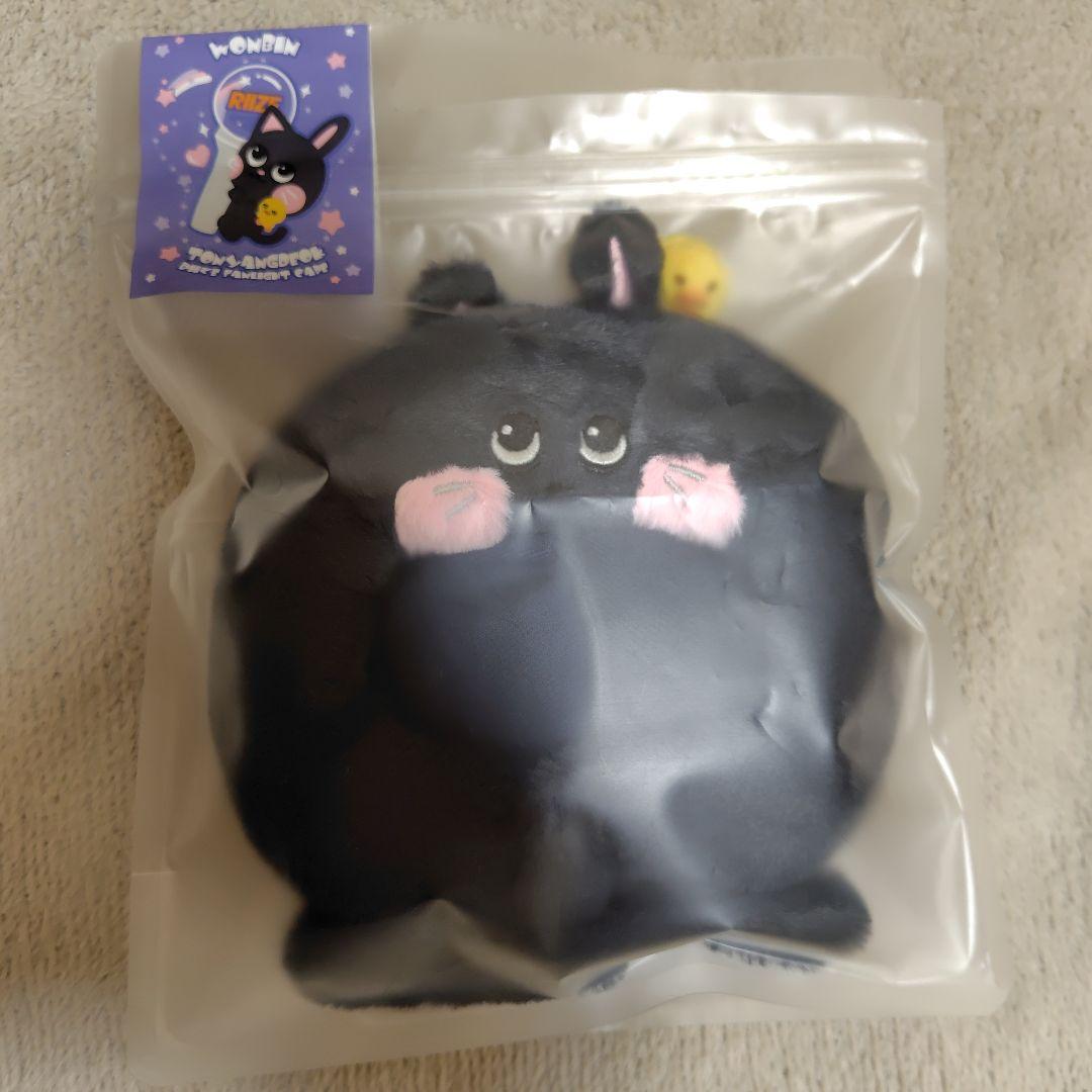 RIIZE ウォンビン トニャンドクペンライトカバー シュシュ ペンライト