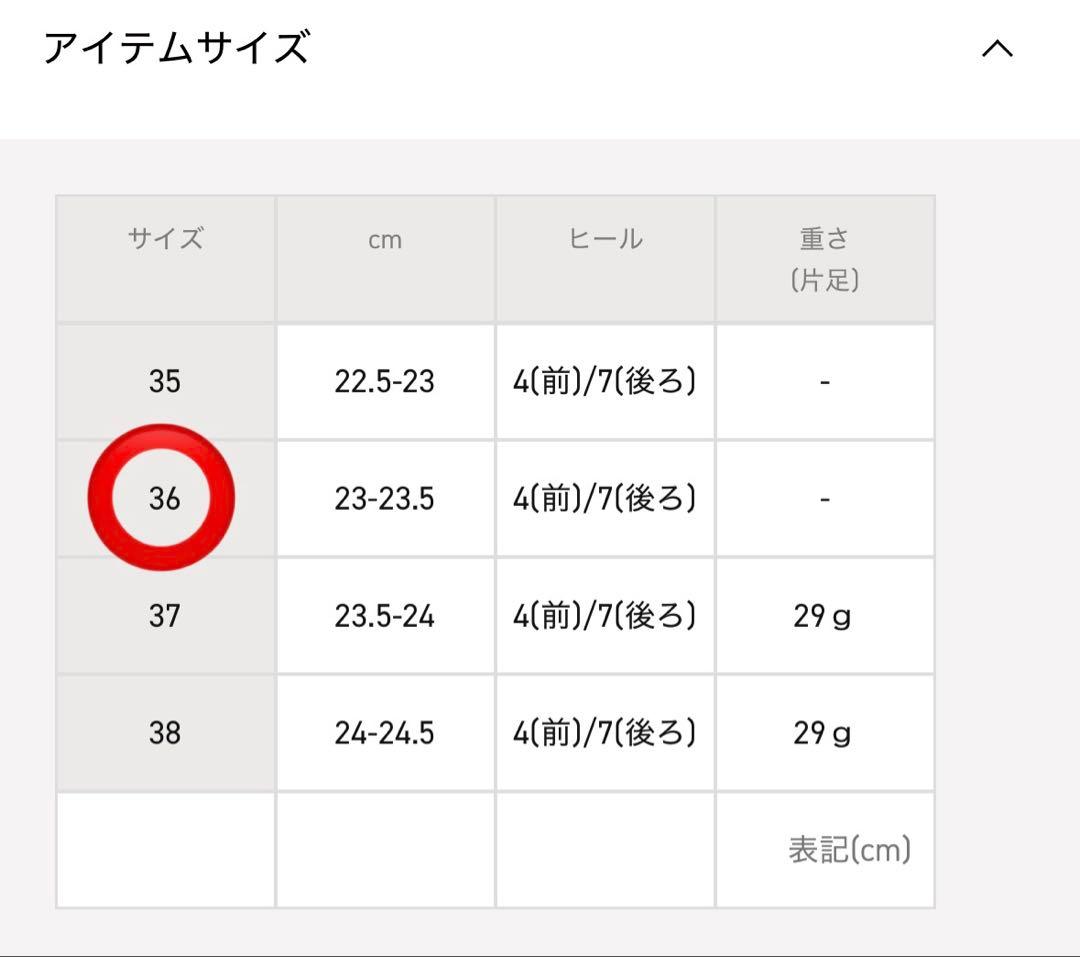 AKIKOAOKI 別注Regurated Gravity / EU36 美品