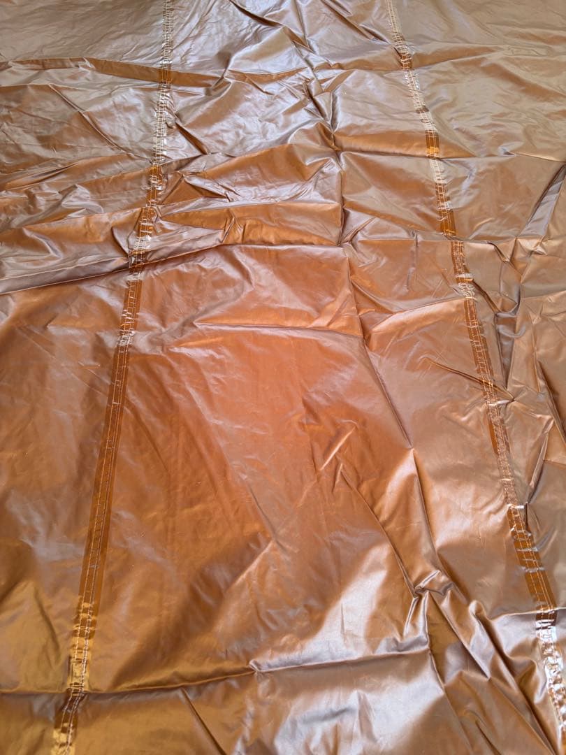 【直接引き取り希望】オガワ アポロン