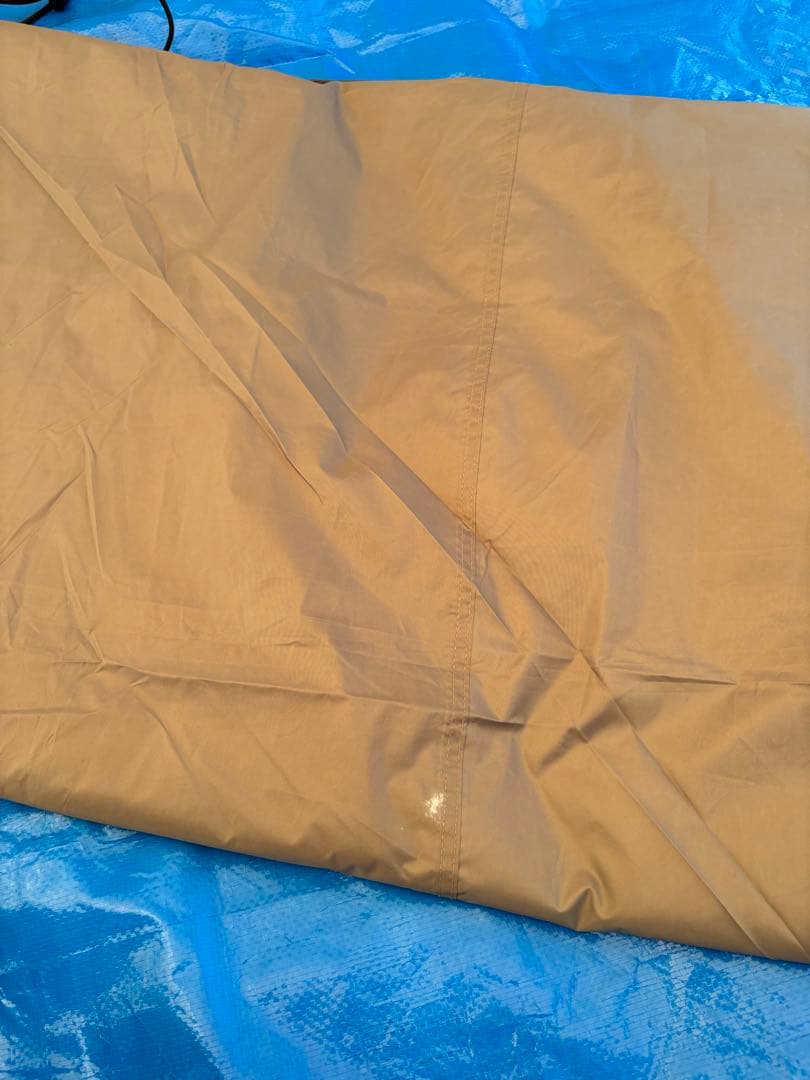 【直接引き取り希望】オガワ アポロン