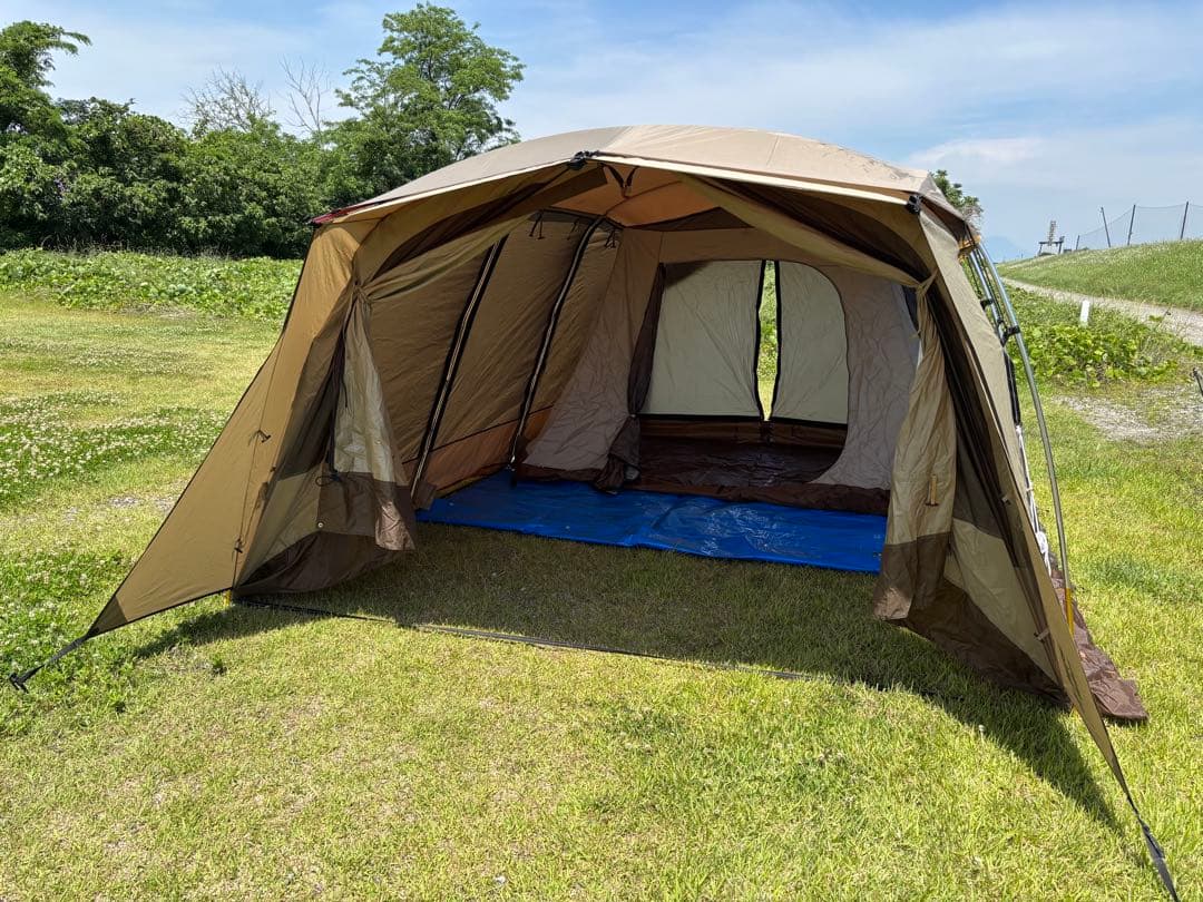 【直接引き取り希望】オガワ アポロン