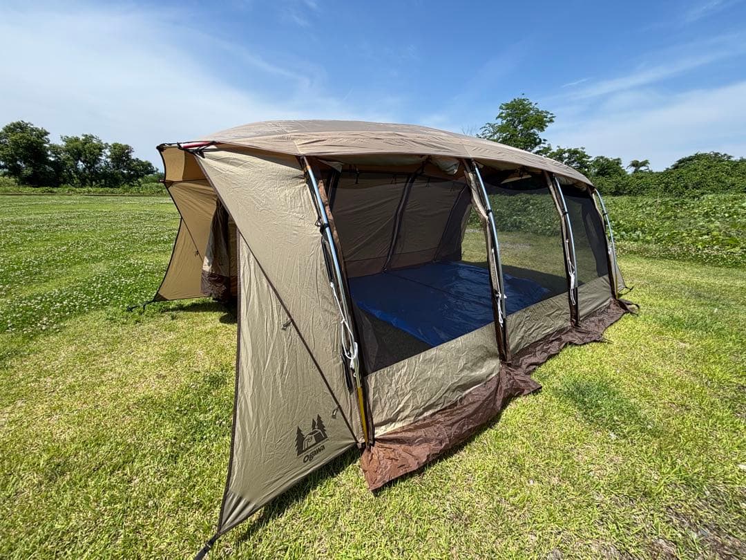 【直接引き取り希望】オガワ アポロン