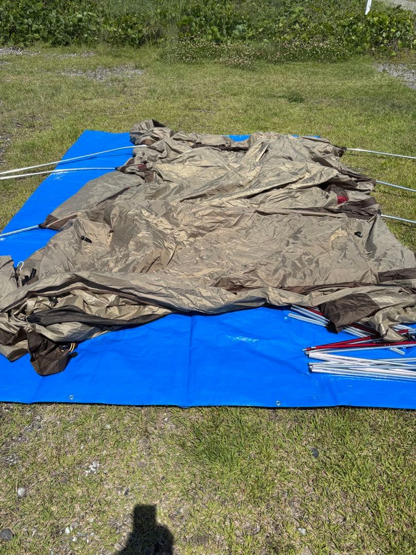 【直接引き取り希望】オガワ アポロン