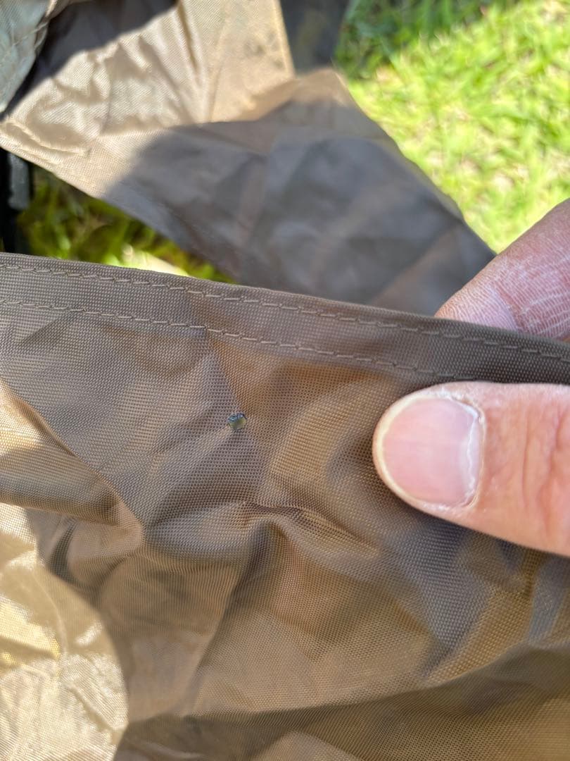 【直接引き取り希望】オガワ アポロン