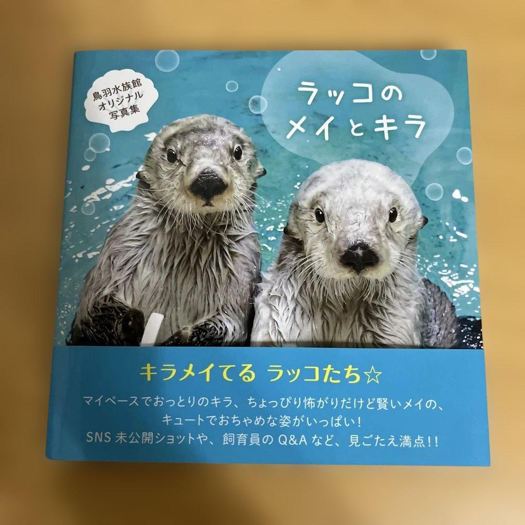 メルカリ他出品者より最安値！ ラッコのメイとキラ 写真集