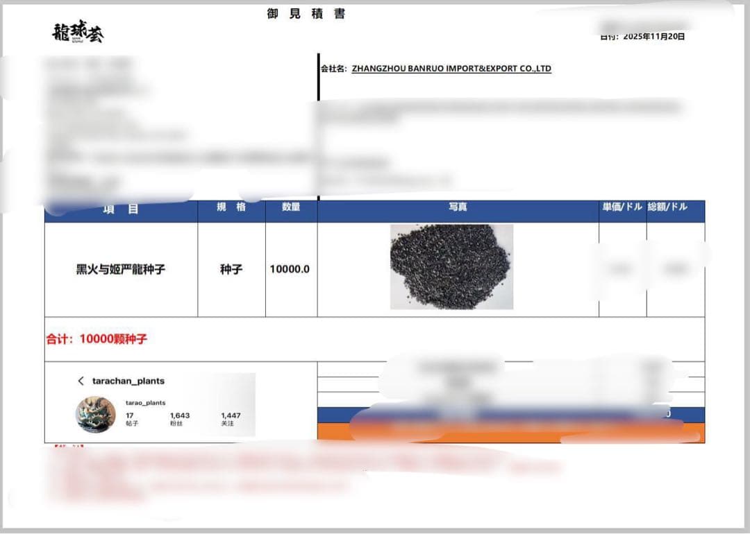 【数量限定】アガベ　オテロイ　種子　姫厳竜×黒火焔 60粒