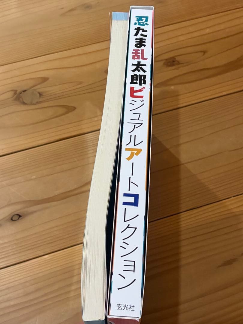 忍たま乱太郎ビジュアルアートコレクション/原画展図録、クリアファイルセット