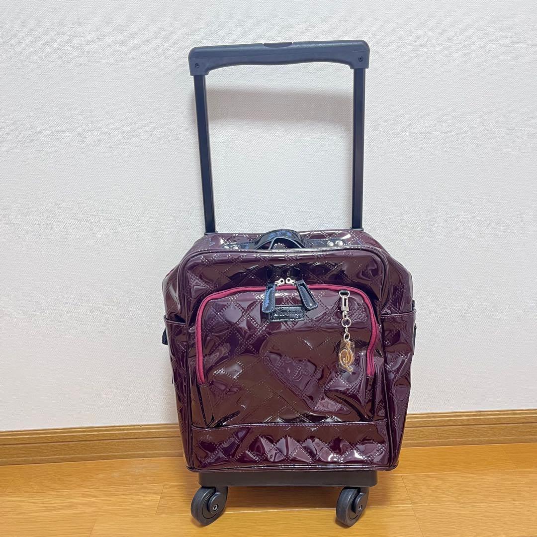 SWANY スワニー エマイロ　ボルドー　キャリー　ショッピング