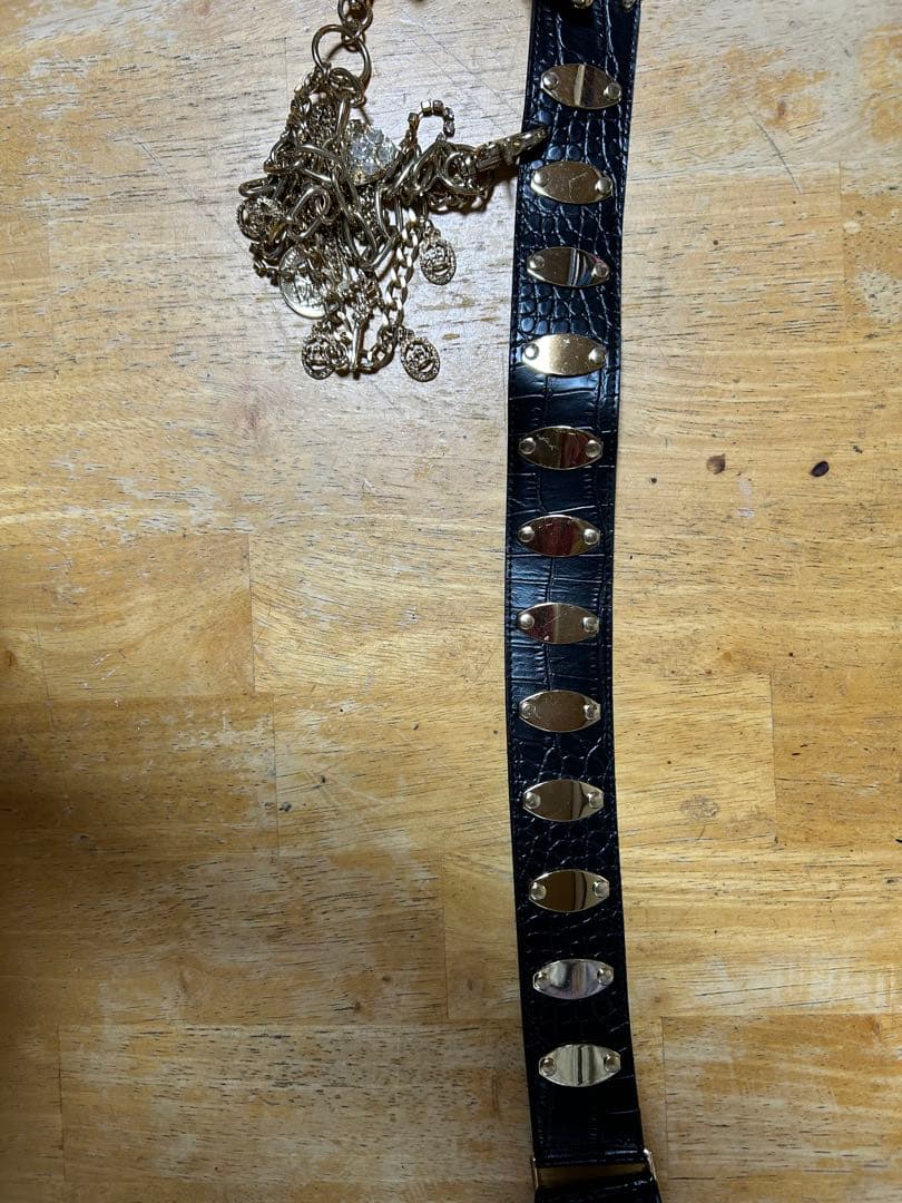 スキニーリップ ベルト 平成ギャル GAL SNLP