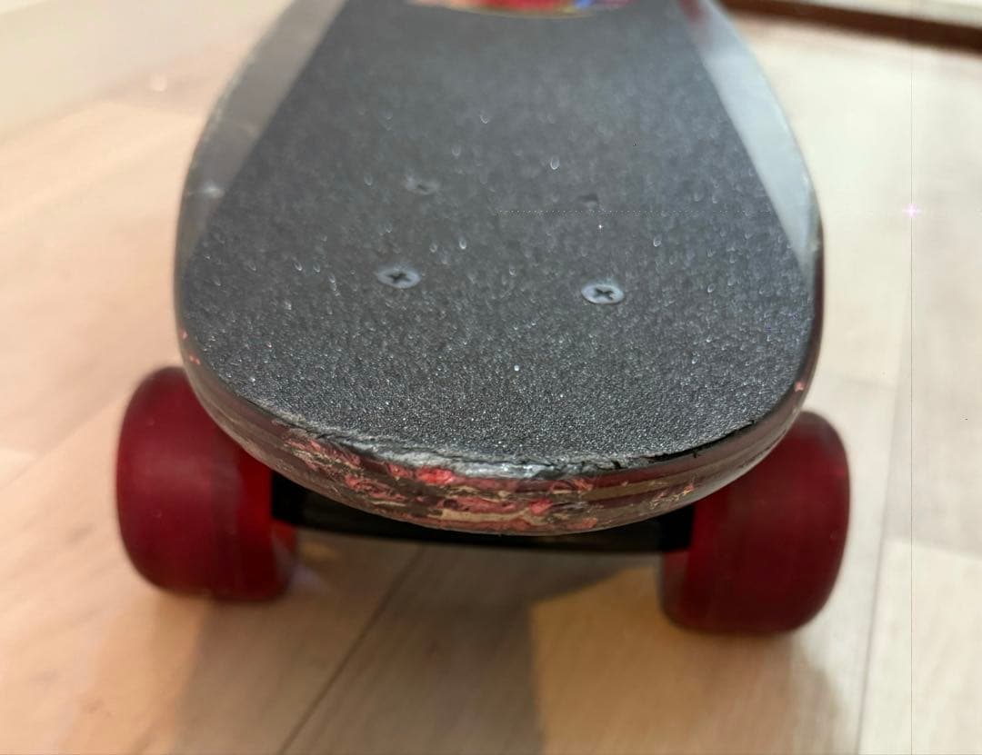 SANTA CRUZ スケートボード クルーザー　袋付き