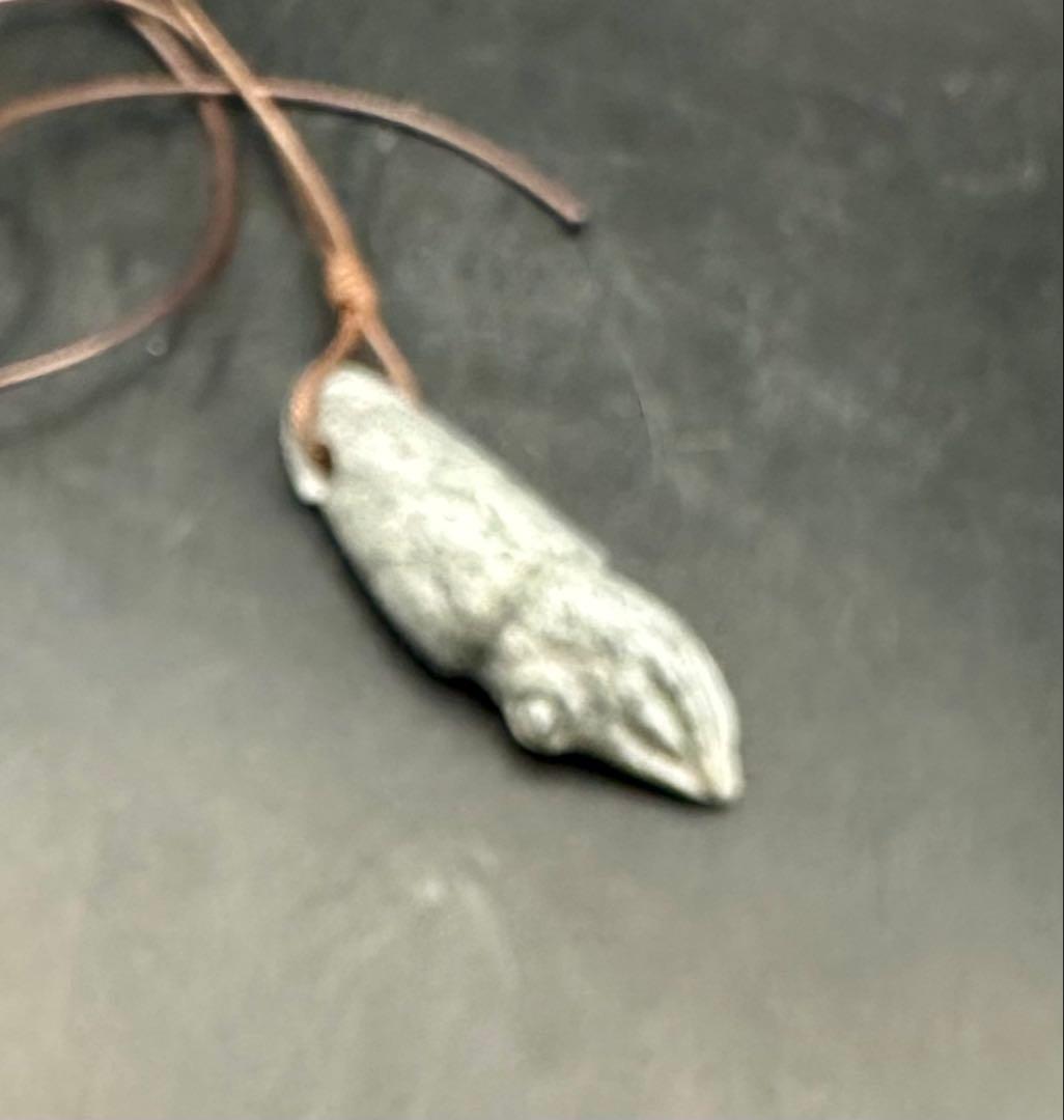 2025.8.31海霊イカ　糸魚川グレ翡翠