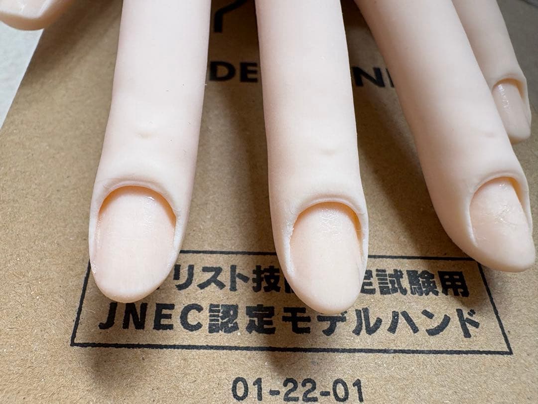 （両手）骨折なしJNEC認定モデルハンド ネイルアート用