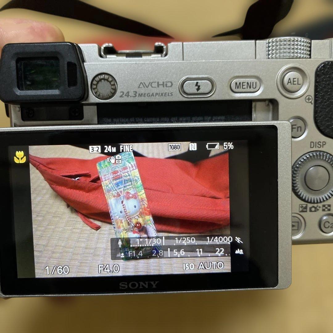 SONY α6000 ミラーレス一眼