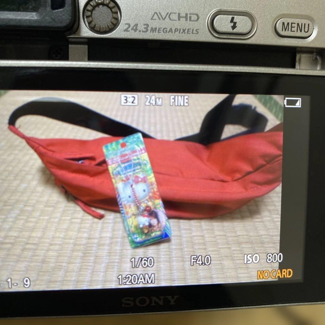 SONY α6000 ミラーレス一眼