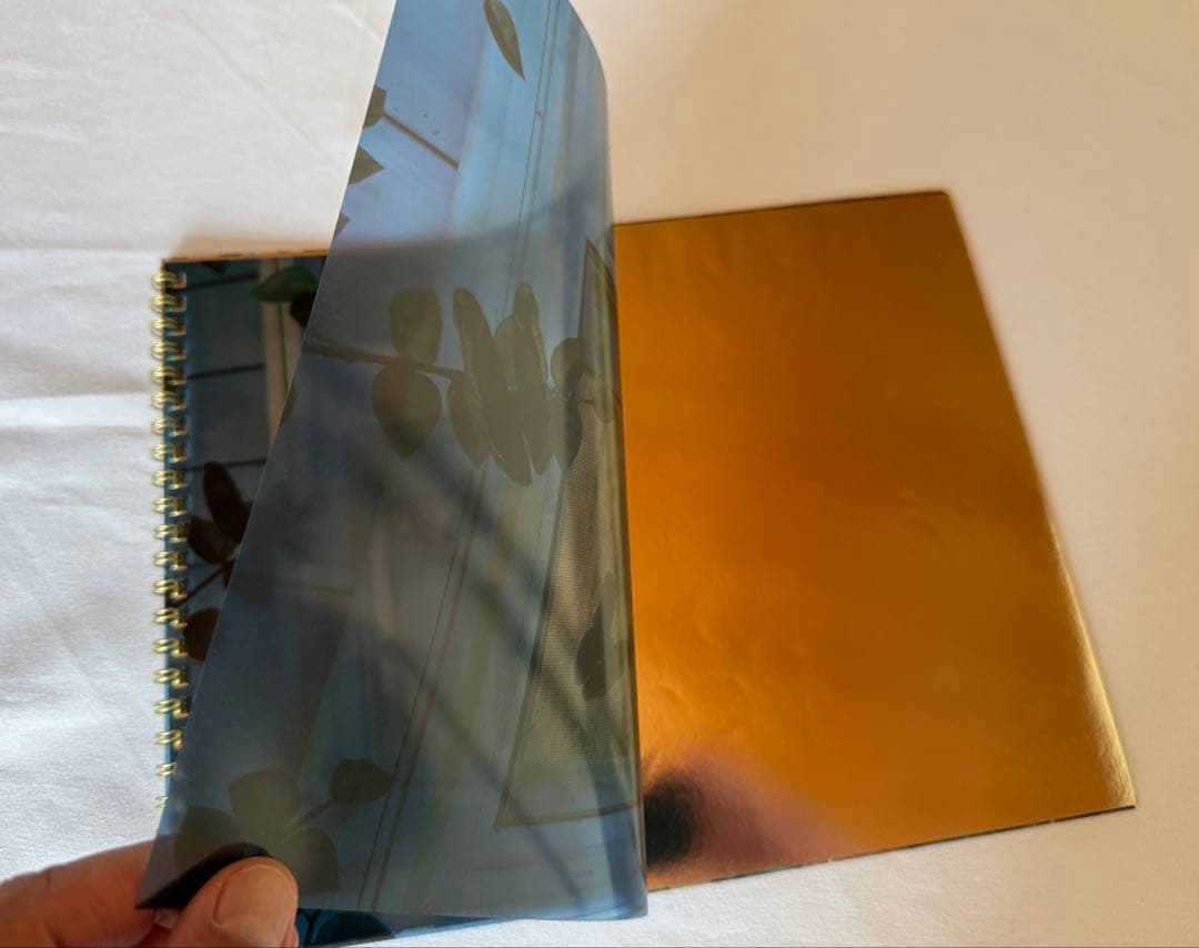 稀少DM COMME des GARCONS×Gregory Crewdson