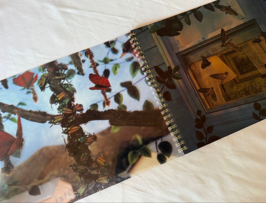 稀少DM COMME des GARCONS×Gregory Crewdson