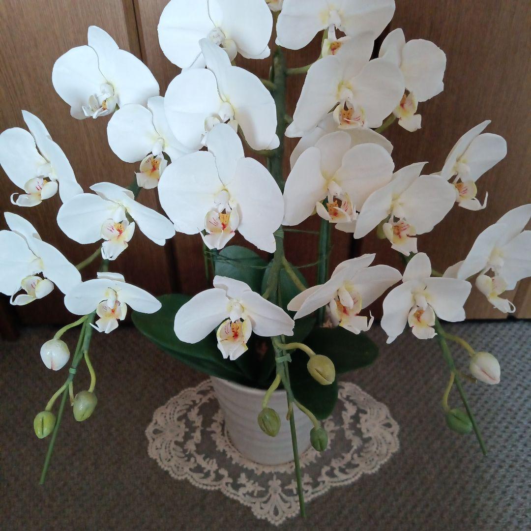 専用 ホワイト胡蝶蘭3本立ち クレイフラワー