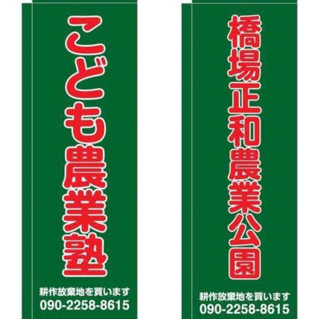 こころの風景コレクション【武田靖夫　松島】購入金額より60％お値引き！！