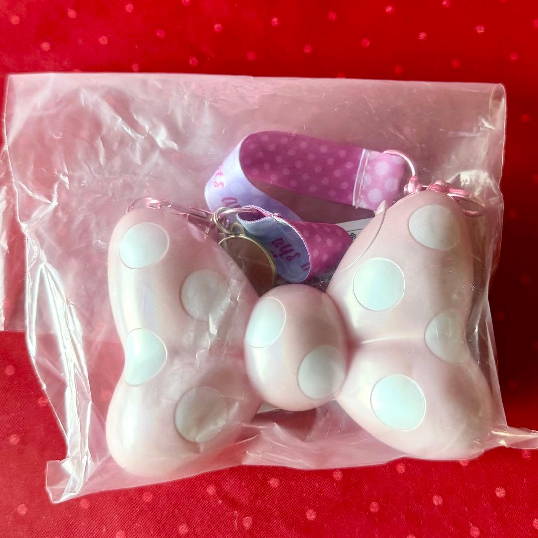 ディズニー パルパルーザ ファンダーランド☆ポップコーンバケット