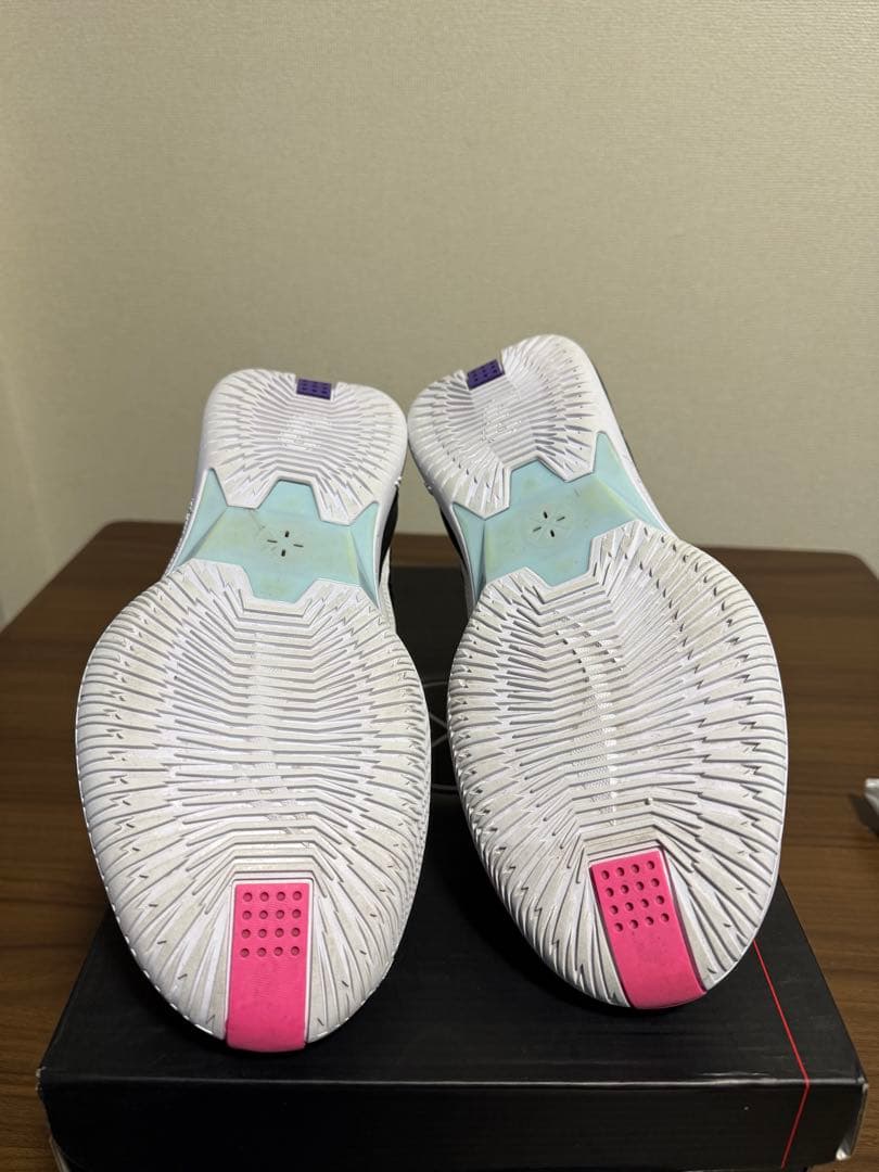 リーニン Wade fision 9 US10.5