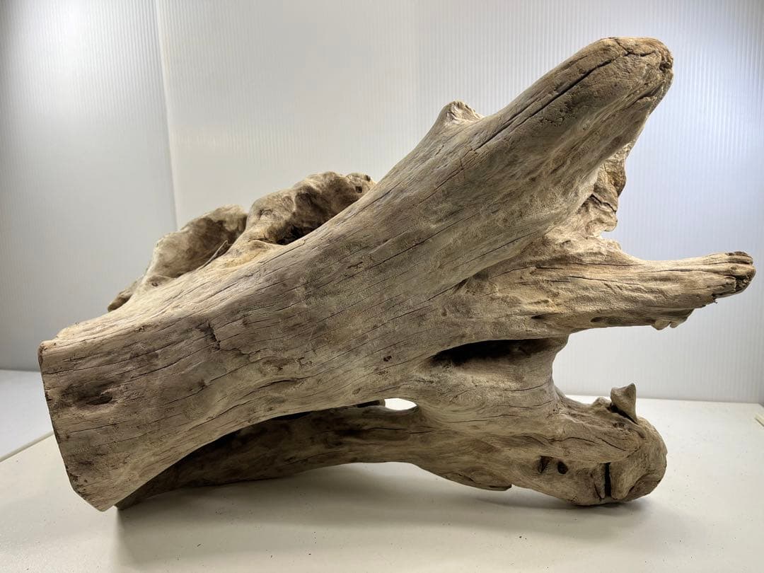 T90特大流木 大型流木 アク抜き済み 漂白処理 爬虫類シェルター