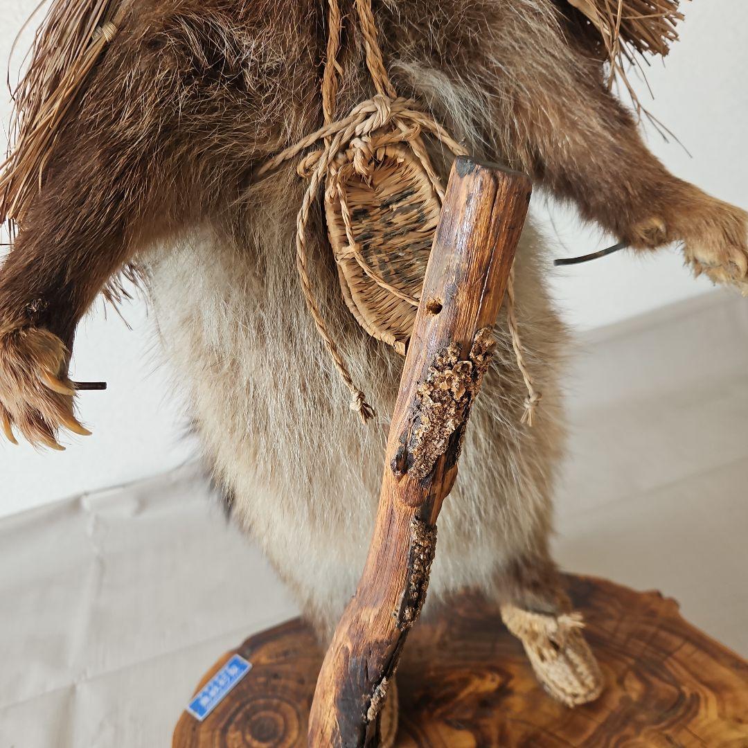 タヌキ　狸　鳥獣　剥製　本物　縁起物　商売繁盛　出世運　天然木　台座付き