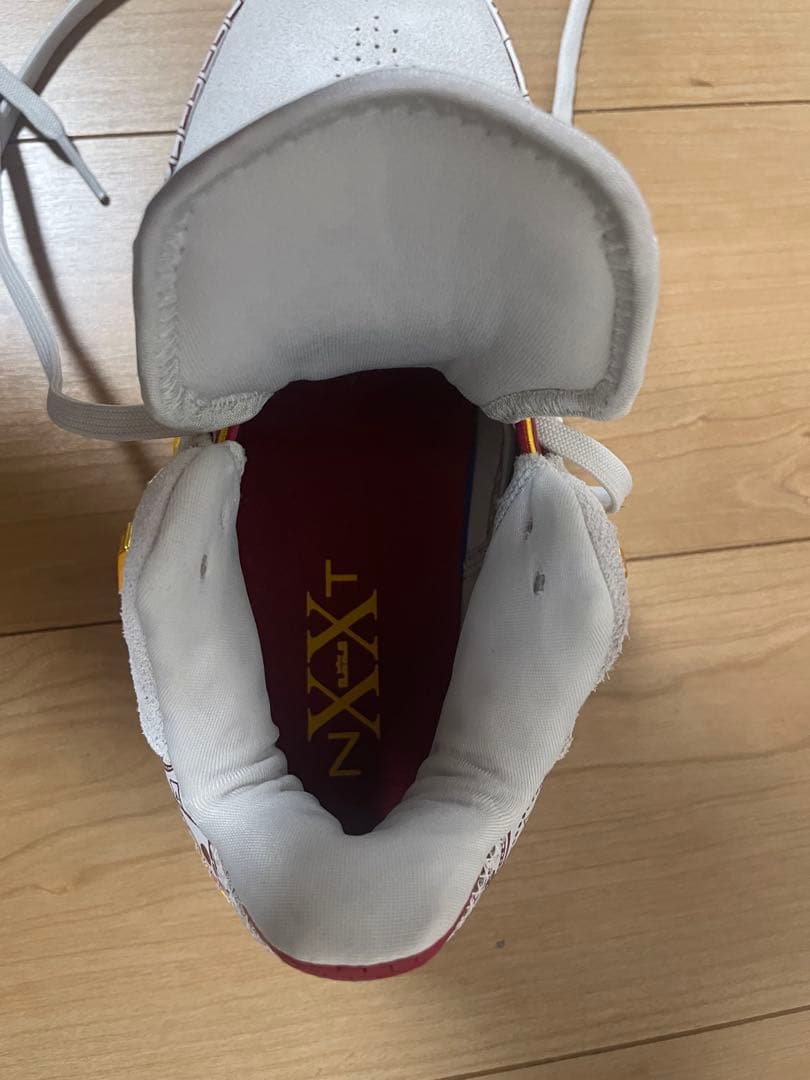 NIKEズーム レブロンNXXT GEN AMPD EP FZ7888-001