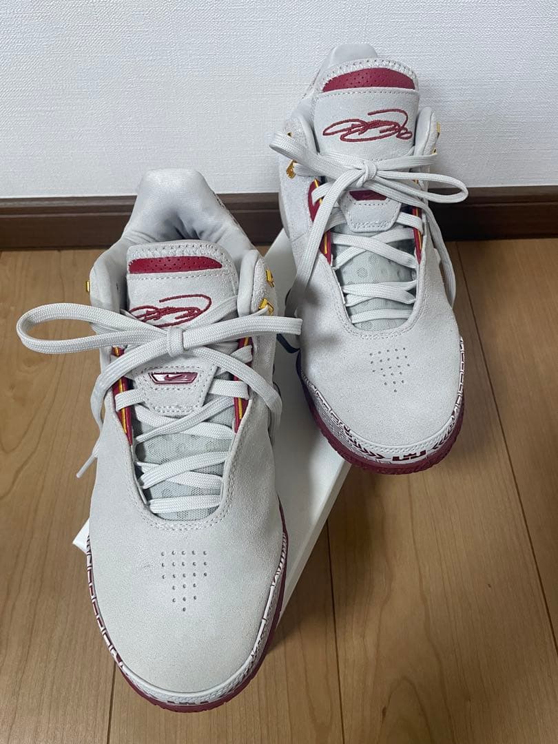 NIKEズーム レブロンNXXT GEN AMPD EP FZ7888-001