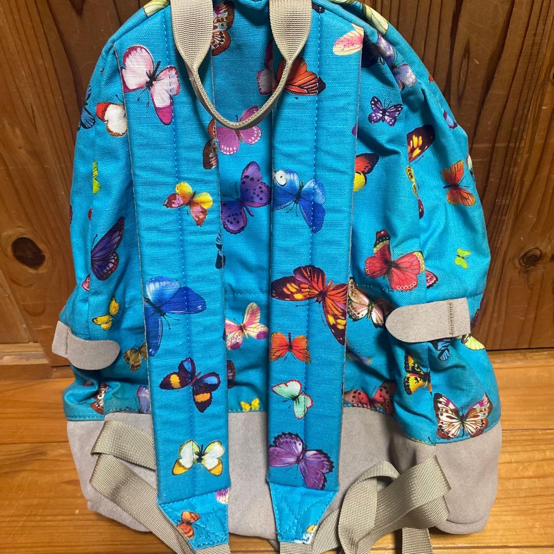 THE NORTH FACE PURPLE LABEL リュック