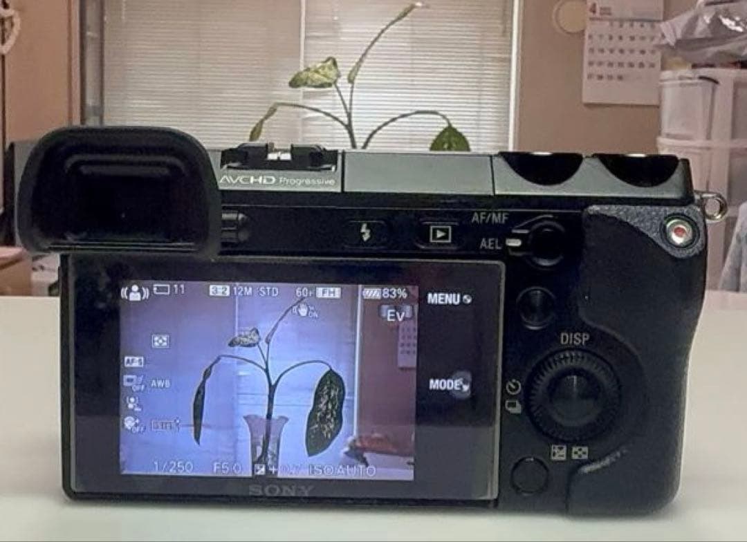 SONY α (Alpha) NEX-7 ミラーレス一眼カメラ